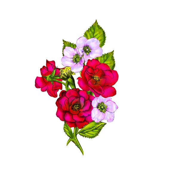 Creatieve Compositie Met Het Beeld Van Tuinbloemen Lente Zomer Bloemen — Stockfoto