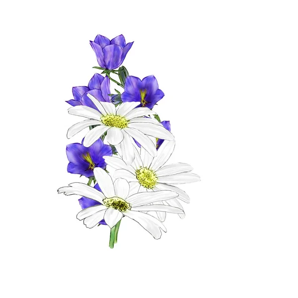 Δημιουργική Σύνθεση Την Εικόνα Λουλουδιών Κήπου Άνοιξη Και Καλοκαίρι Λουλούδια — Φωτογραφία Αρχείου