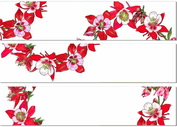 花の装飾的な背景 白い背景にAquilegiaクローズアップ 布や紙に印刷するための図面 — ストック写真