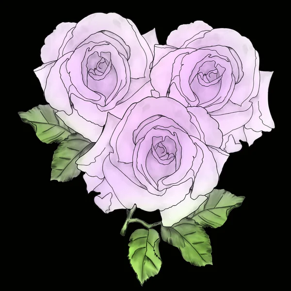 Flores Color Rosa Púrpura Cierran Sobre Fondo Negro Dibujo Para — Foto de Stock