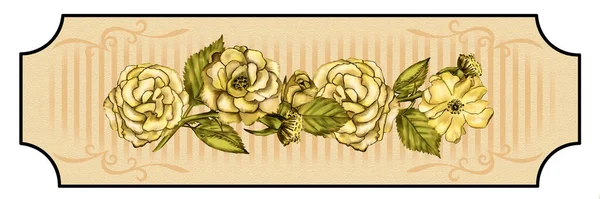 Creative Composition Image Flower Bouquets Labels Pencil Drawing Close Vintage — Stock Photo, Image