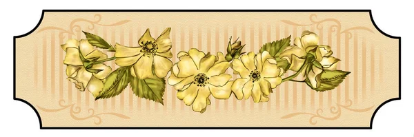 Etiketlerinde Çiçek Buketleri Olan Yaratıcı Bir Kompozisyon Kalem Çizimi Yakın — Stok fotoğraf