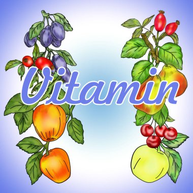 Meyve resmi olan parlak bir pankart. Meyve dükkanı için bir işaret, doğal ürünlerin reklamını yapmak, doğanın armağanları. Reklam malzemesi.