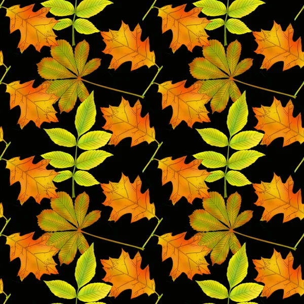 葉のパターン 混沌とした順序で秋のカラフルな葉 シームレスな背景 紙や布に印刷するためのテクスチャ 秋のテーマ — ストック写真