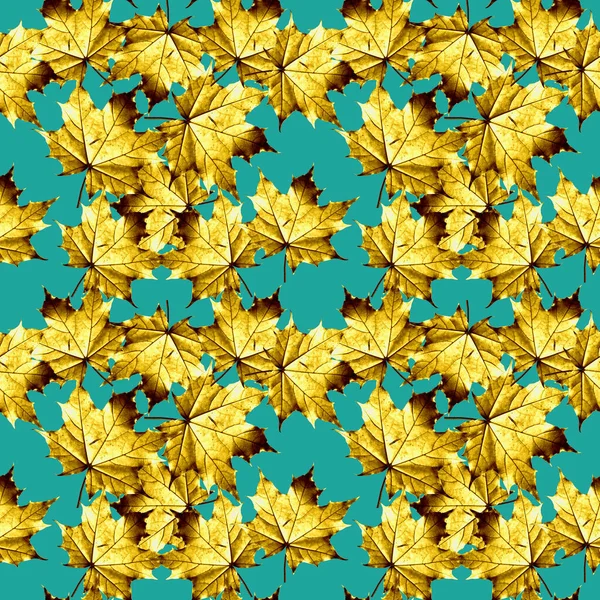 Folhas Padrão Elementos Que Imitam Ouro Fundo Sem Costura Textura — Fotografia de Stock