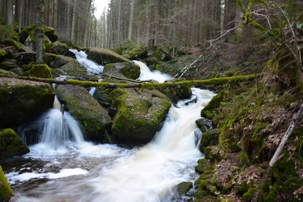 Der Überflutete Bach Herbsttag — Stockfoto