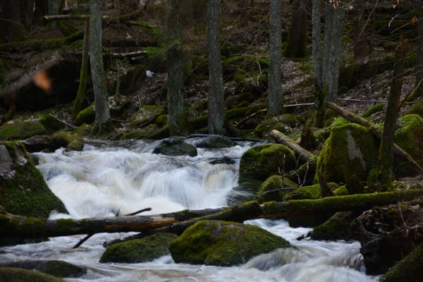 Die Großen Stromschnellen Auf Dem Fluss — Stockfoto