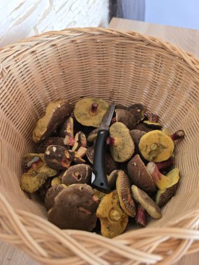 Beyaz arka plandaki kasede taze organik patatesler.