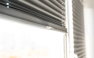 Pencerenin içinde gri patenci, yakın plan..