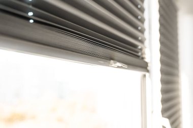 Pencerenin içinde gri patenci, yakın plan..