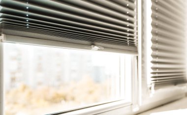 Pencerenin içinde gri patenci, yakın plan..