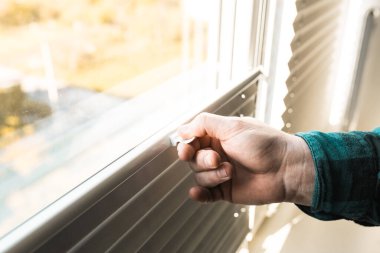 Pencerenin içinde gri patenci, yakın plan..