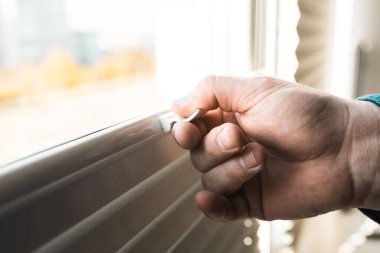 Pencerenin içinde gri patenci, yakın plan..