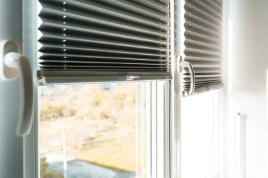 Pencerenin içinde gri patenci, yakın plan..