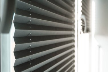 Pencerenin içinde gri patenci, yakın plan..