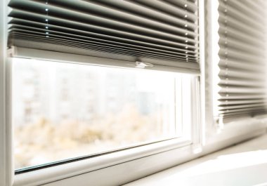 Pencerenin içinde gri patenci, yakın plan..