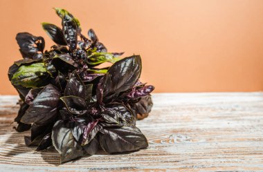 Renkli bir arka planda bir bardak fesleğen yaprağı..