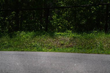 11-05-2020 Riga, Letonya motosikletçisi boş asfalt yolundaki spor bisikletlerinde. spor bisikleti.