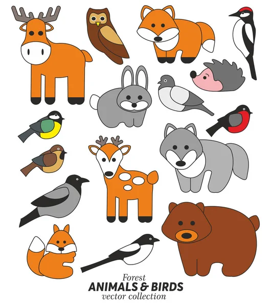 Forest animals and birds vector collection