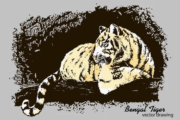 Handgezeichnete Bengale Tigervektorzeichnung — Stockvektor
