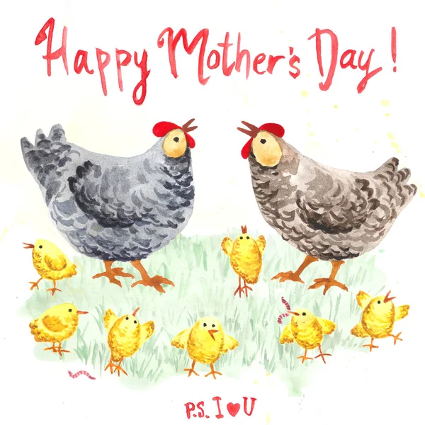 Mother Hen Chickengreeting Card — Stock Photo, Image