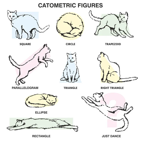Γεωμετρικά στοιχεία με χειροποίητα σχήματα γάτας — Διανυσματικό Αρχείο