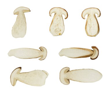 Makro - dilimlenmiş Boletus mantarı topluluğu (Kral bolete) beyaz arka plan üzerinde (yüksek çözünürlüklü izole)