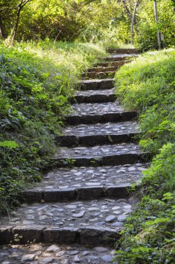 Cluj-Napoca, Transilvanya, Romanya - 21 Ağustos 2018: Botanik Bahçe, sokakta büyük turistik, üzerinde 21 Ağustos 2018 Kaloşvar '.