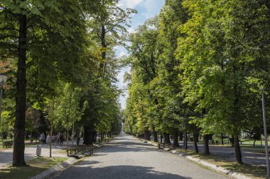 Cluj-Napoca, Transilvanya, Romanya - 21 Ağustos 2018: Central Park, Görüntü: 21 Ağustos 2018 Cluj-Napoca.