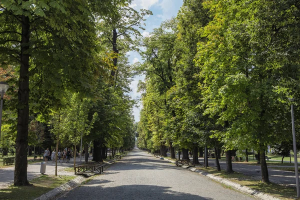 Cluj Napoca Transilvânia Roménia Agosto 2018 Central Park Imagem Agosto — Fotografia de Stock