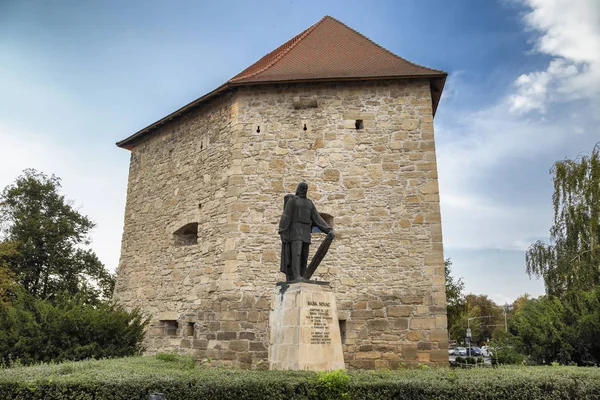 Cluj Napoca Transsilvanien Rumänien August 2018 Baba Novac Statue August — Stockfoto