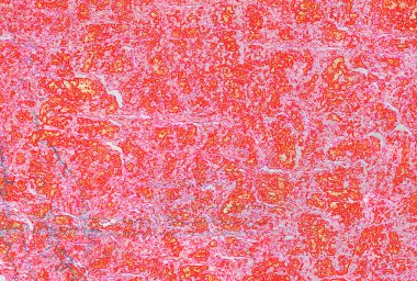 doğal doku ve düzensiz desen ile arka plan