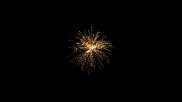 Feuerwerk Elemente Animation Gesetzt Auflösung Ultra — Stockvideo