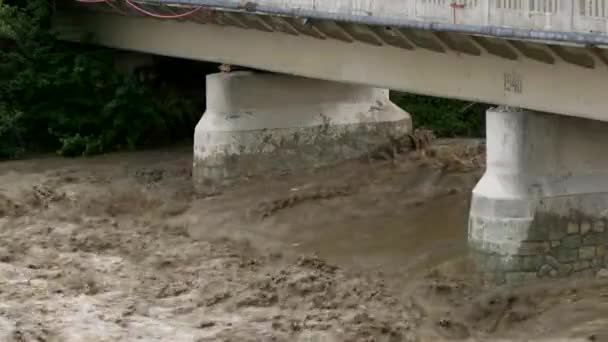 春の大雨による洪水期の濁った川 — ストック動画