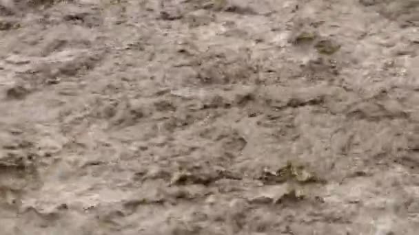 Fiume Sporco Con Acqua Fangosa Periodo Inondazione Durante Forti Piogge — Video Stock