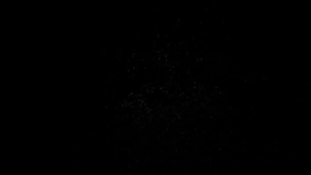 映画広告や映画のための黒の背景に隔離された雪の4Kアニメーション — ストック動画