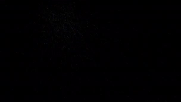 电影广告和电影用黑色背景隔离的雪花4K动画 — 图库视频影像