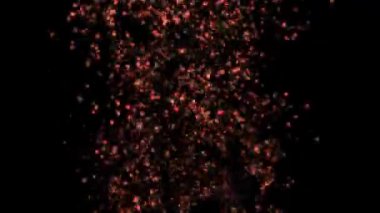 Siyah arkaplan üzerine farklı renk baloncukları dizisi. 4k çözünürlüğü.