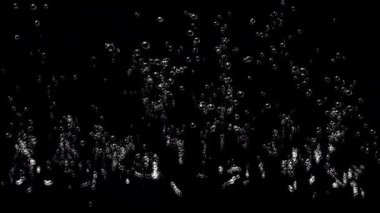Siyah arka planda gerçekçi su altı kabarcıkları. Film reklamları ve filmler için 4K animasyon.
