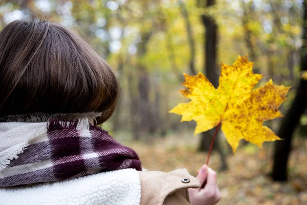 Vy från baksidan av en tjej som är insvept i en halsduk eller matta en — Stockfoto