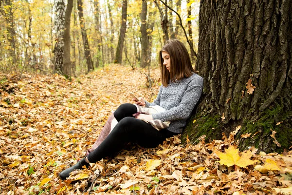 Ung vacker flicka i en grå jacka som sitter under hösten fore — Stockfoto