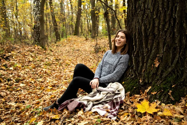 Söt flicka i en grå jacka som sitter i höst skogen på en yel — Stockfoto