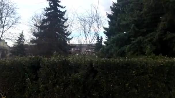 Vedere Din Partea Arbuștilor Verzi Copacilor Din Spatele Lui Oraș — Videoclip de stoc