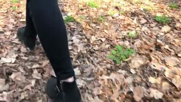 Девочка ходит по лесу в черных туфлях — стоковое видео