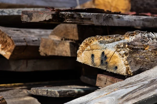 Hromádka starých dřevěných hoblků, které leží na zemi — Stock fotografie