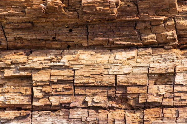 Textura marrón de madera vieja. Fondo abstracto, plantilla vacía — Foto de Stock