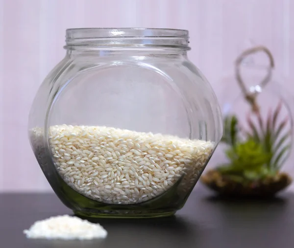 Healthy eating rice groats in a glass jar standing on a table with a green plant on the background