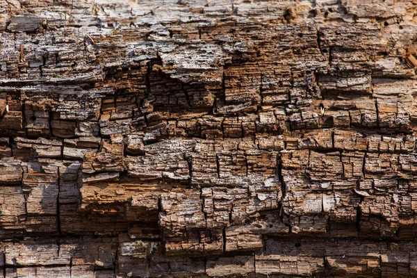 Textura marrón de madera vieja. Fondo abstracto, plantilla vacía — Foto de Stock