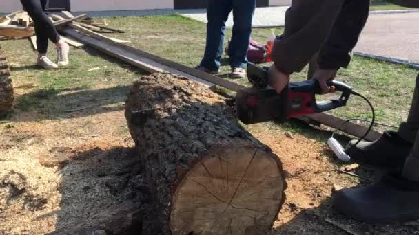 Um homem serra um tronco grande com uma motosserra elétrica em um dia ensolarado — Vídeo de Stock