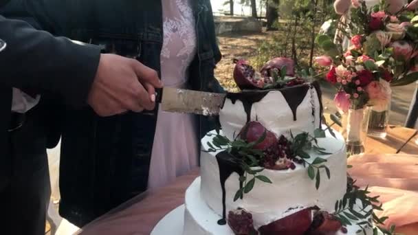 A noiva eo noivo no casamento cortar um belo bolo de três camadas e distribuir aos convidados — Vídeo de Stock